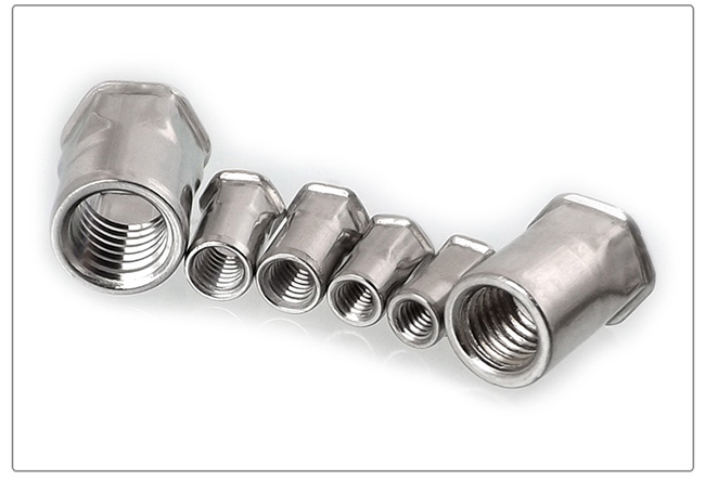 Stainless Steel Countersunk Head Hex Rivet Nut