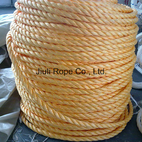 PE Rope / Polyethylene Rope / 3 Strand Rope