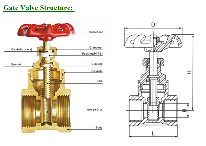 Brass Gate Valve 1/2