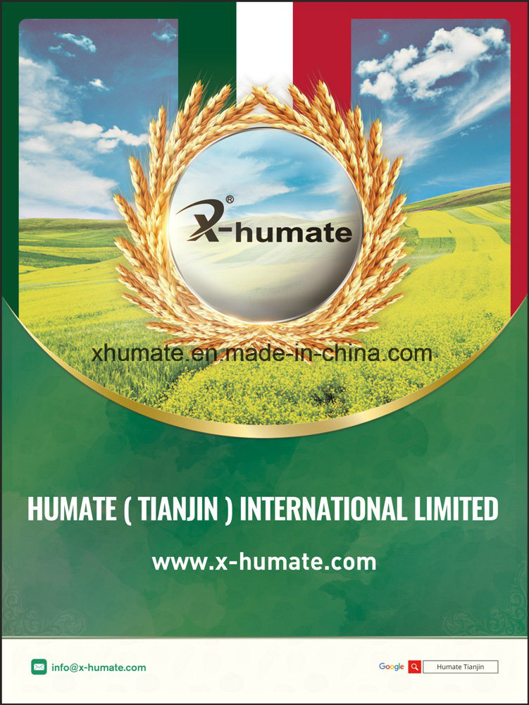 Fine Cyrstal Powder Form Potassium Humate From Leonardite