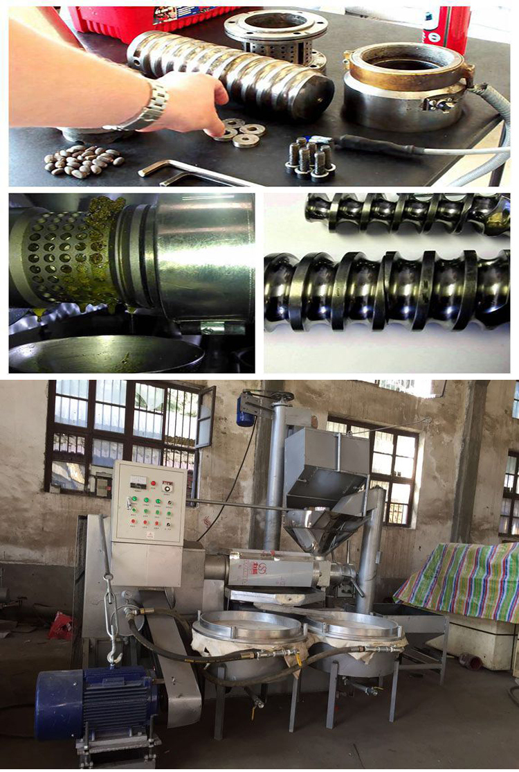 Agricultural Machinery Avocado Oil Machine and Pumpkin Seed Oil Press Machine