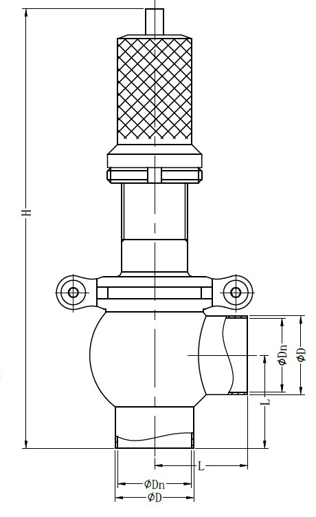 Stainless Steel Ss Sanitary Pressure Safety Valve