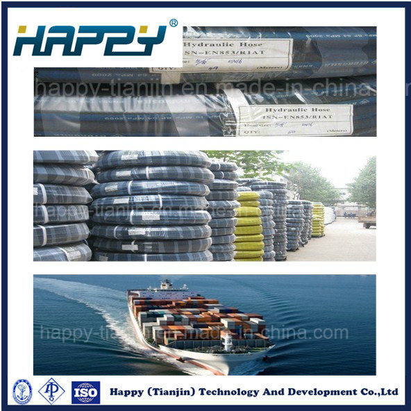 R10 High Pressure Steel Wire Spiral Hydraulic Rubber Hose