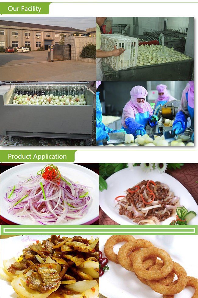 Fresh Peeled Onion China with Competitive Price