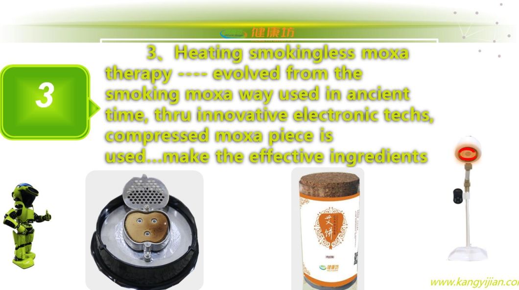 Chinese Electric Moxibustion Device/ Moxa Device for 360 Degree