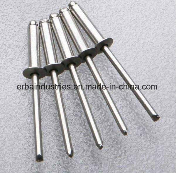 Dome Head Ss Rivet Stainless Steel Rivets