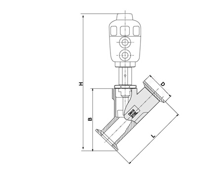 Sanitary Pneumatic Angle Seat Valve (IFEC-SV100015)