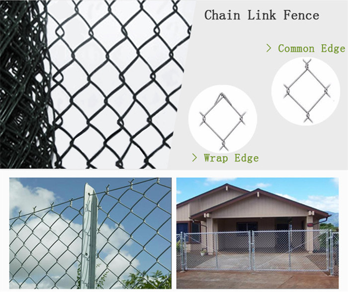 Factory Wholesale PVC Coated Diamond Wire Mesh Security Metal Fence