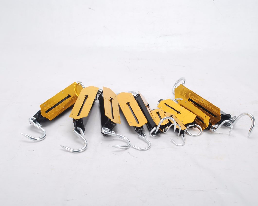 50kg Gold Hanging Weight Spring Balance Type Scale