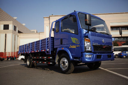 China Supplier HOWO 4X2 Cargo Truck 5 Ton