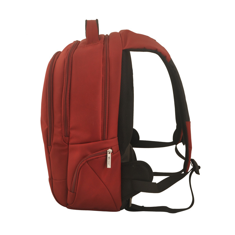 Leisure and Modern Backpack Laptop Bag Travel Bags (SB2124)