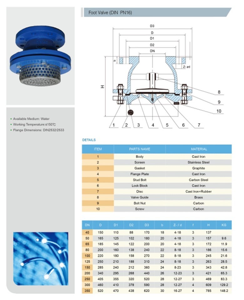 Cast Iron Foot Valve Pn10