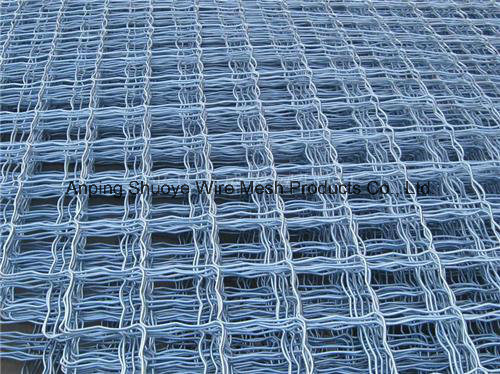 Plastic PVC Coated Chain Link Fence for Playground