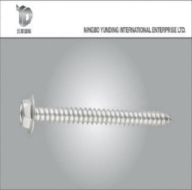 Stainless Steel Self-Tapping Screw Made in China with High Quality