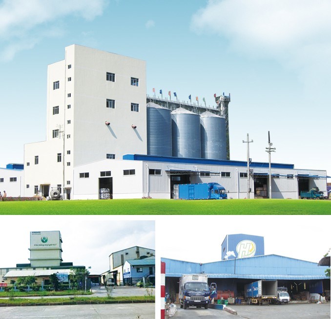 Advanced Poultry Feed Production Machine Manufacturing Engineering