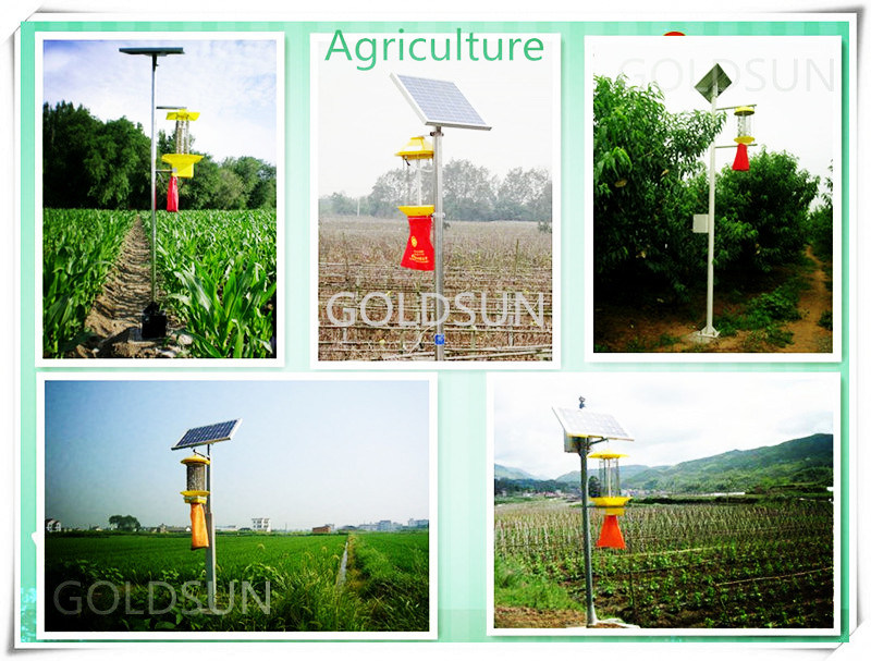 Solar Pest Control Lamp, Insect Killer Lamp, Green Agriculture, Chinese Manufacturer