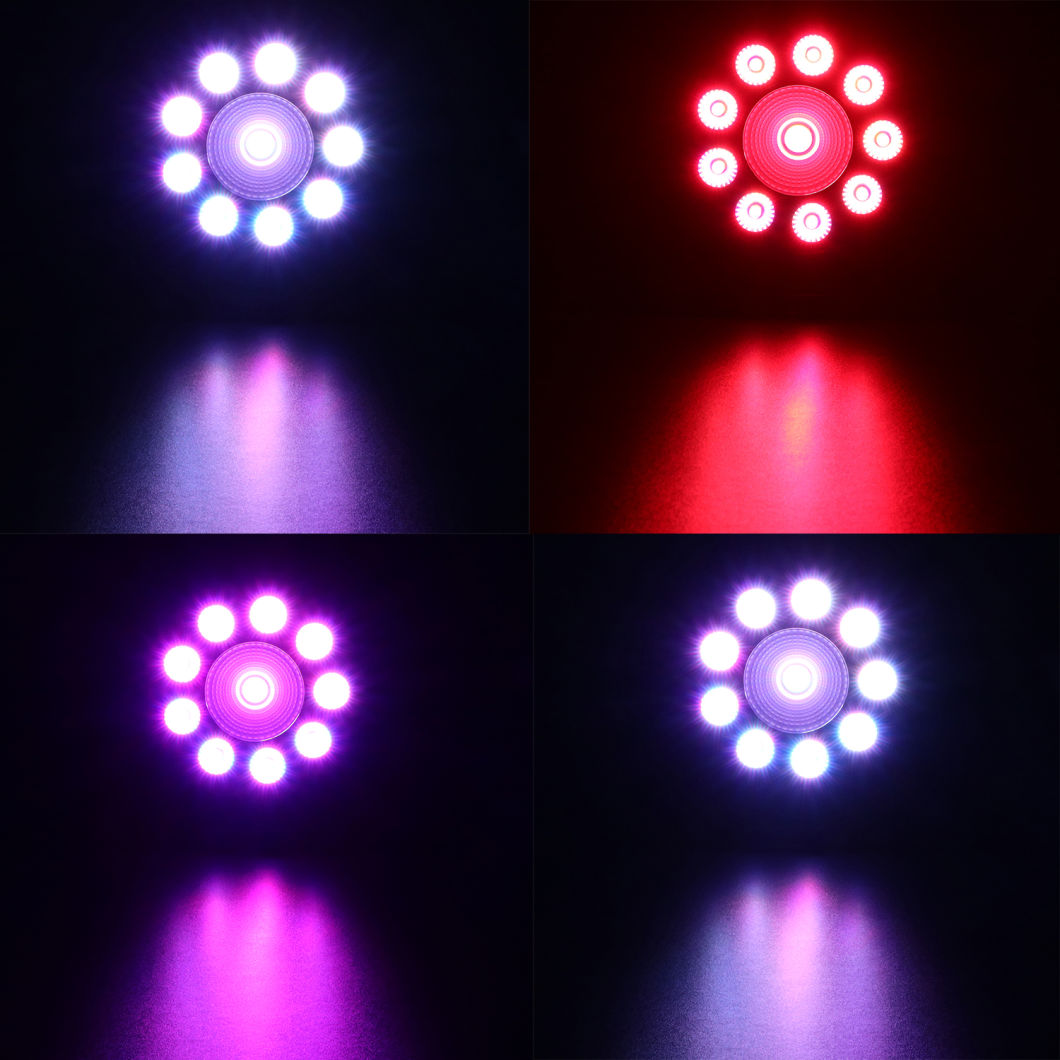 High Quality 9+1 Colorful Halloween LED Stage PAR Light for DJ Bar