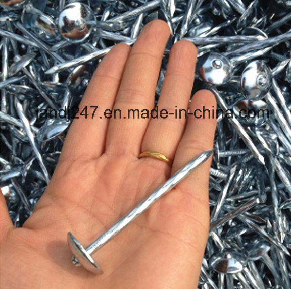 Galvanized Umbrella Head Roofing Nail