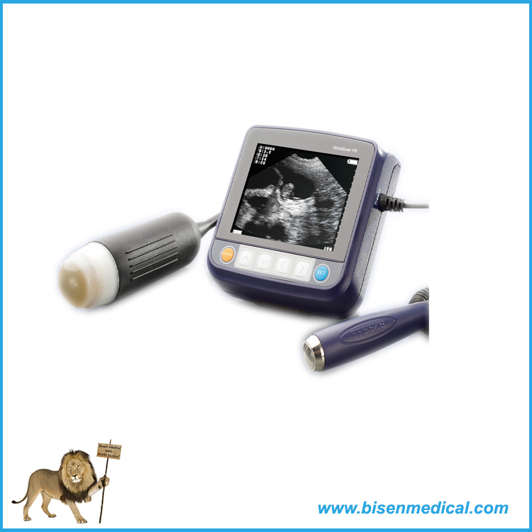 BS-V9 Animal Vet Ultrasound Machine System Ultrasound Scanner for Horse and Other Animals