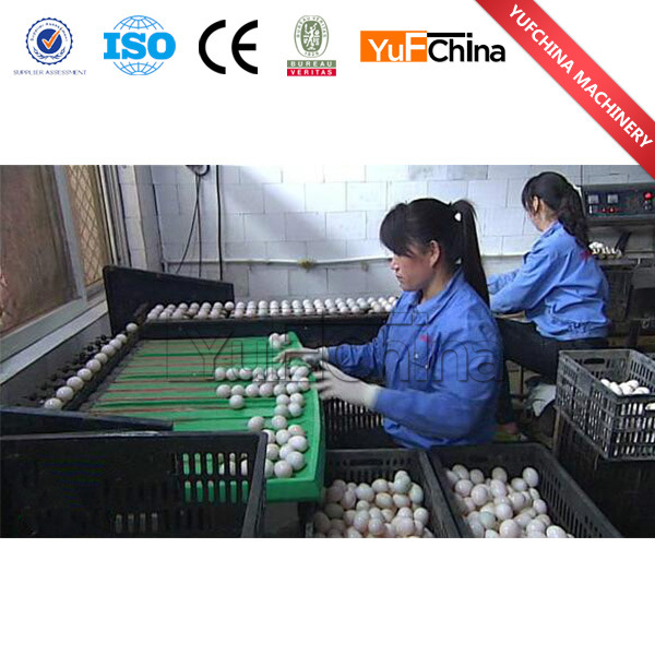 New Design Hot Sale Egg Grading Machine