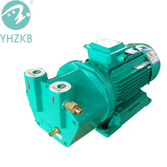 Sk-a Series Stainless Steel Water Ring Vacuum Pump