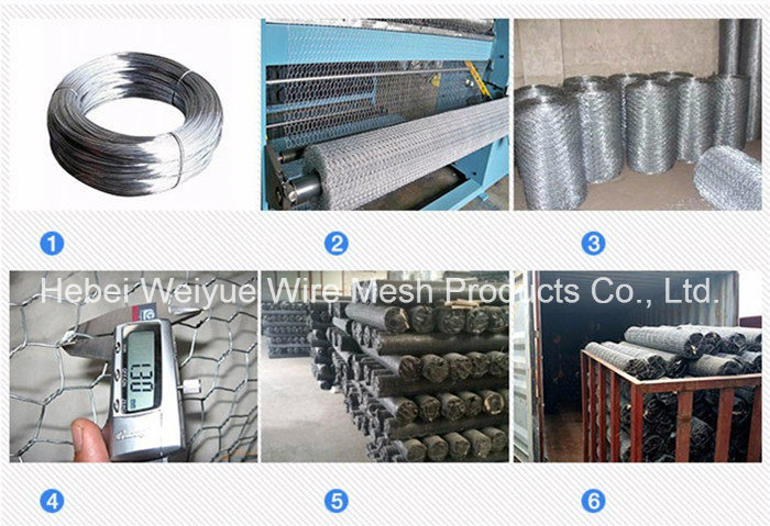 Hexagonal Wire Netting/Fishing Net Wire/Stainless Steel Wire Rope Mesh