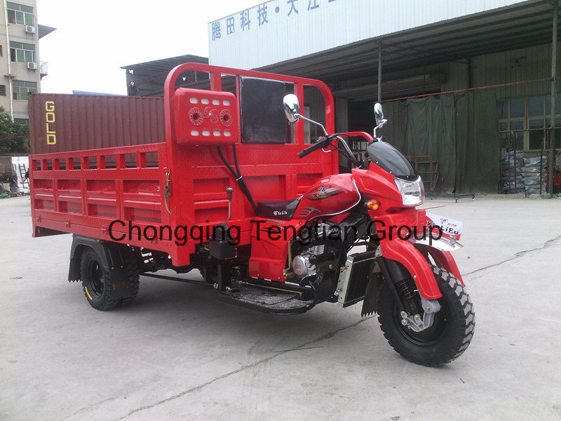 Three Wheel Tricycle Delivery Van