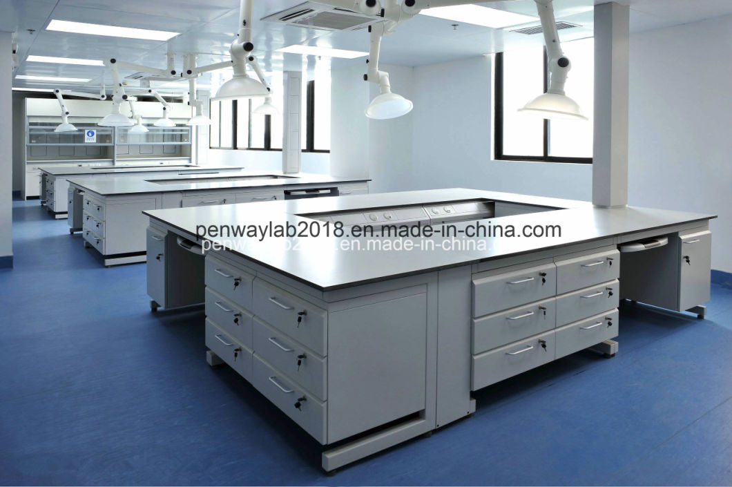 New Design Laboratory Furniture Full Steel Floor Mounted Lab Bench with Reagent Shelf