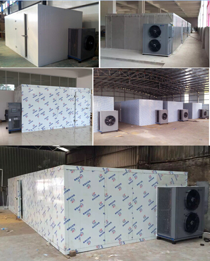 Heat Pump Dehumidifier Type Vegetable Drying Machine