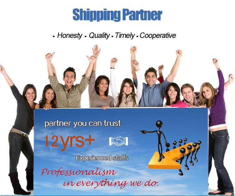 Freight Forwarding Cy-Cy Delivery Service LCL Ocean Sea Shipping Ningbo Qingdao Shanghai to USA Canada Singapore