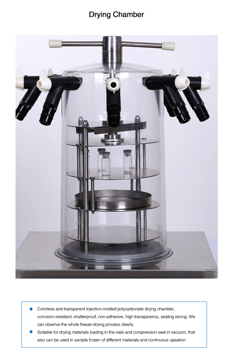 Lab Use Mini Lyophilization Machine