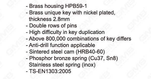 En 1303 High Security Mortise Euro Profile Standard Door Lock Cylinder/ Door Lock/ Brass Cylinder (GMB-CY-24)