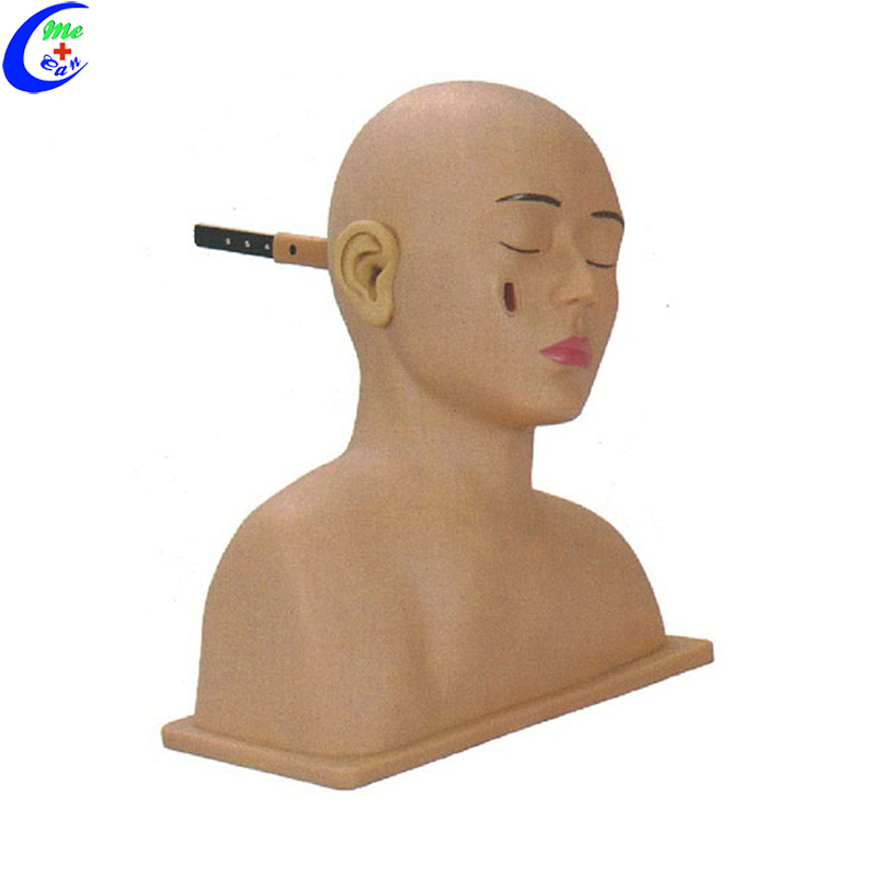 Basic Nursing Set Ear Examination Simulator Model