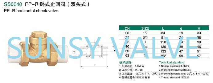 Ss6040 NPT Bsp PPR Brass Swing Horizontal Check Valve