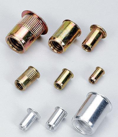 Chinese Wholesale Blind Rivet Nut with High Quality