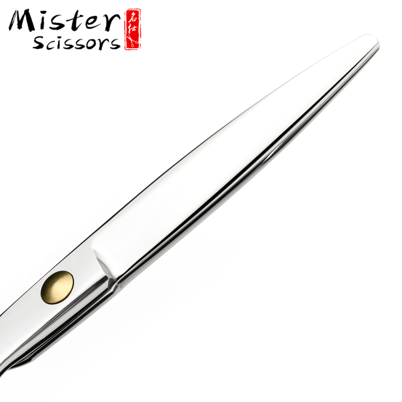 Haarschneidende Friseurschere Hair Cutting Barber Scissor