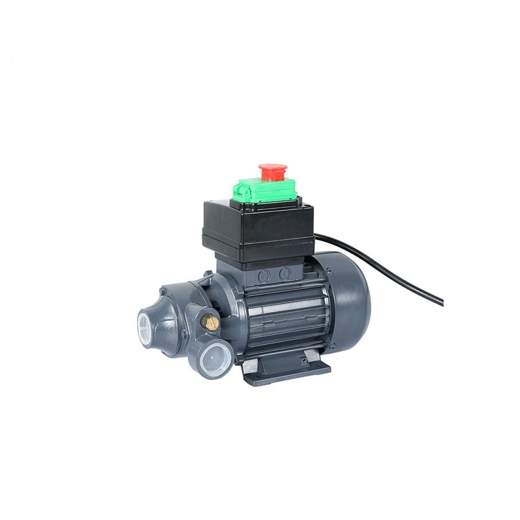 AC110V/220V Adblue Def Pump for IBC System