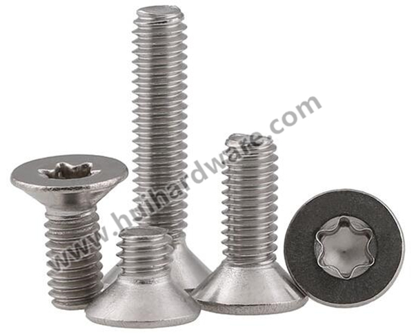 SUS304/SUS316 Countersunk/Csk/Flat Head Torx Machine Screws for Security