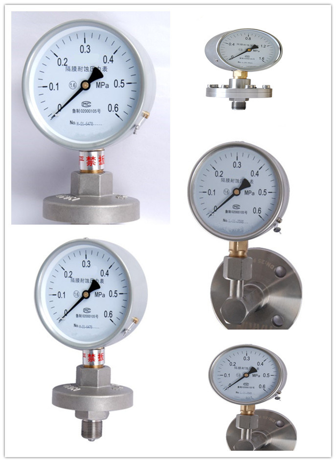 Diaphragm - Seal Pressure Gauge with High Quality