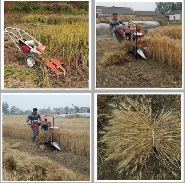 4gx100 Mini Harvester Machine Rice and Wheat Reaper for Sale