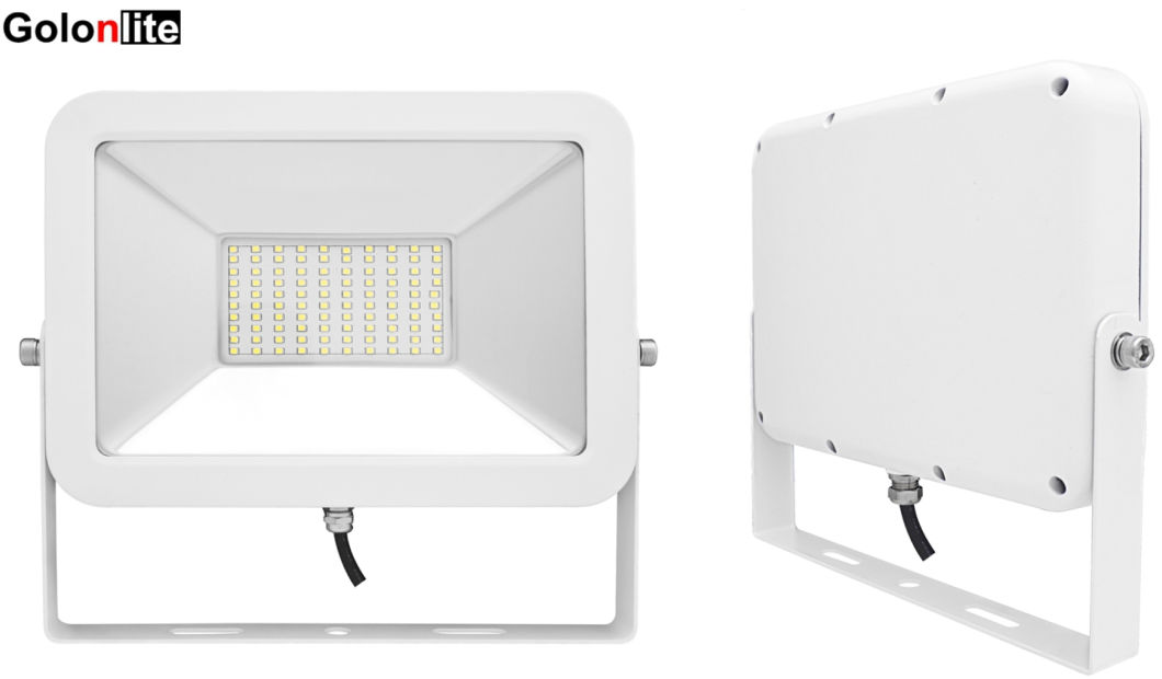 China Factory Low Price Outdoor LED Spotlight iPad LED Floodlight 50W 20W 10W 30W