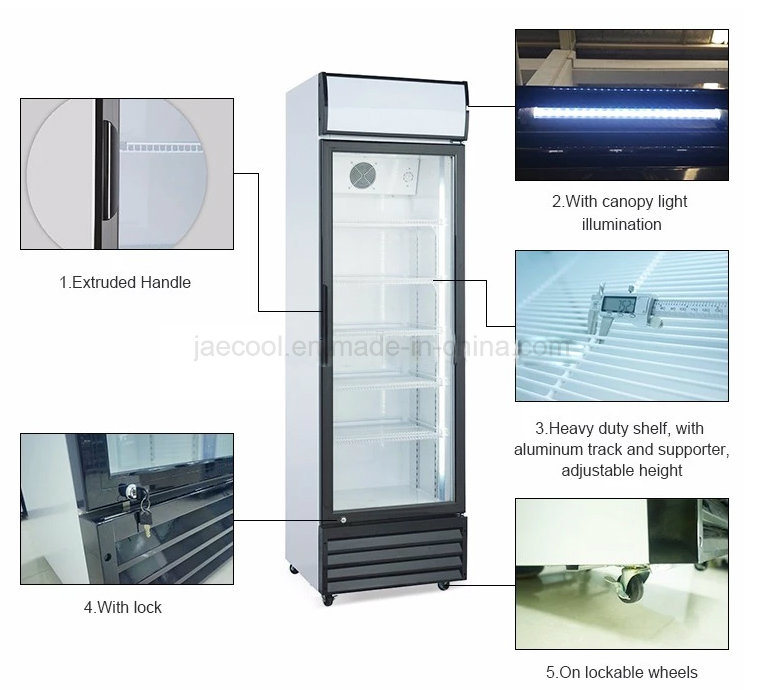 Single Door Commercial Upright Vertical Glass Door Beverage Cooler