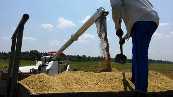 Copy Kubota 360 Degree Rice Unloading Auger Grain Combine Harvester