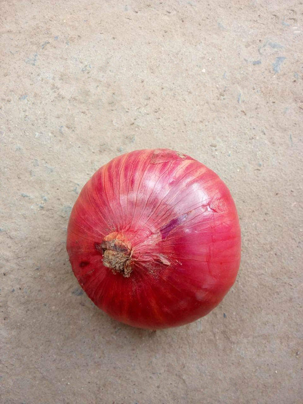 2017 Crop Fresh Onion on Sale