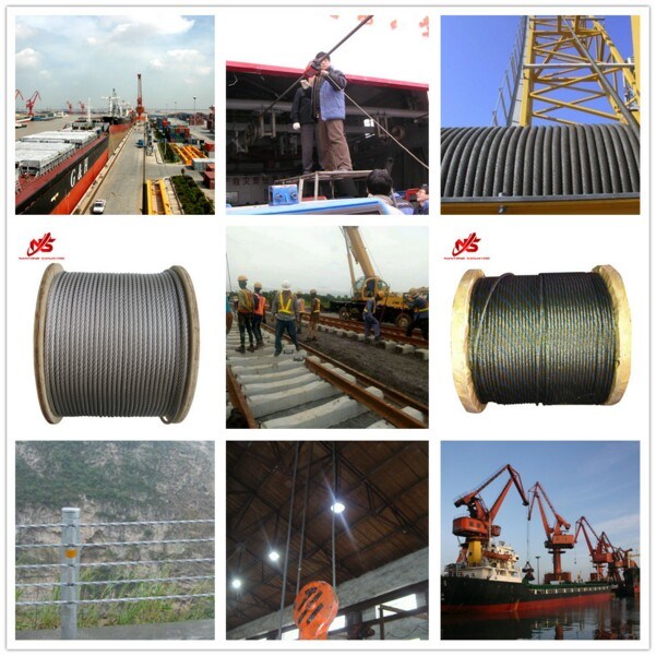 Galvanized Aircraft Steel Wire Rope 7X7 Customized Packing