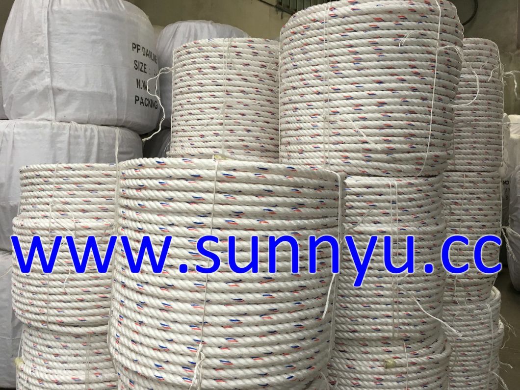 PP Danline Mooring Rope 3 Strands PP Danline Rope