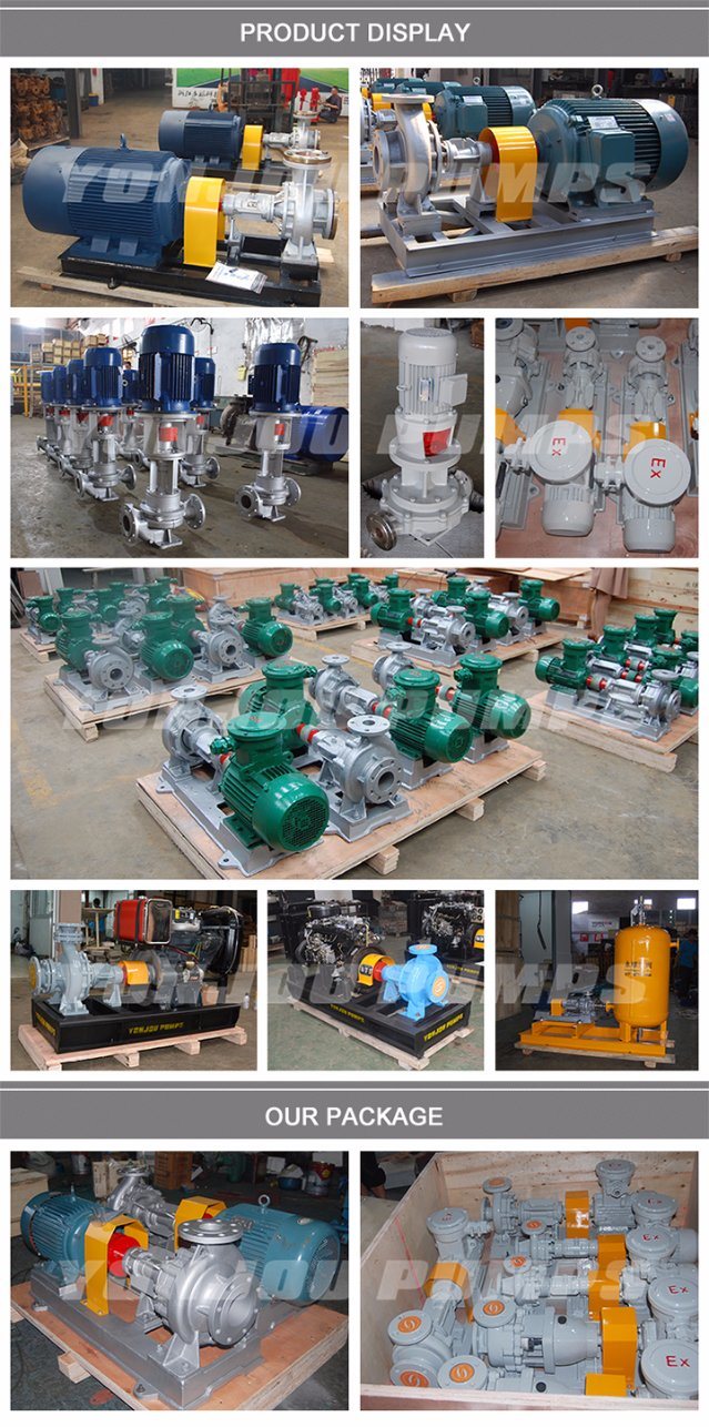 Hot Oil Circulation Pump with Exxd Motor/Thermal Oil Pump