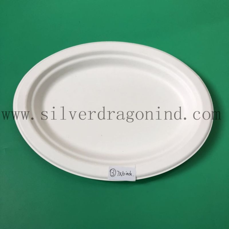 Sugarcane Pulp Material Disposable Paper Tray for Food Use