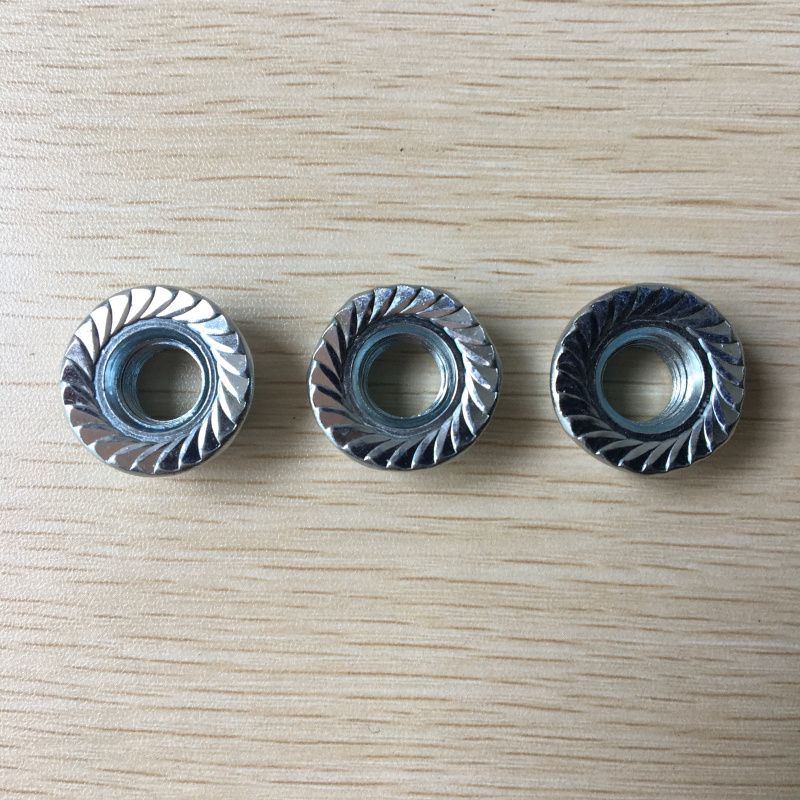 Non-Standard Stainless Steel Hexagon Head Hex Flange Nut