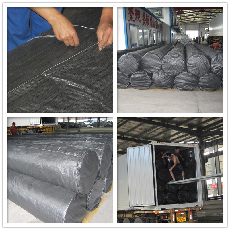 1.5mm HDPE Geomembrane Liner for Landfill